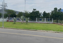 hạng mục cây xanh